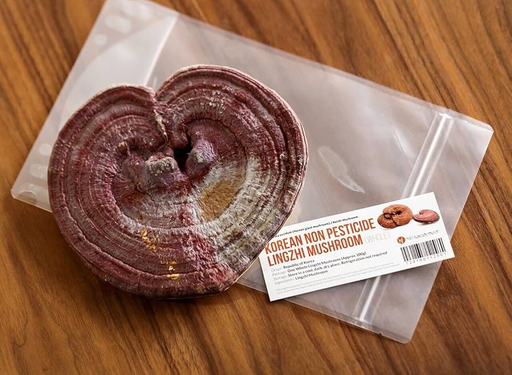 Lingzhi Mushroom (Reishi Slices) – 100g